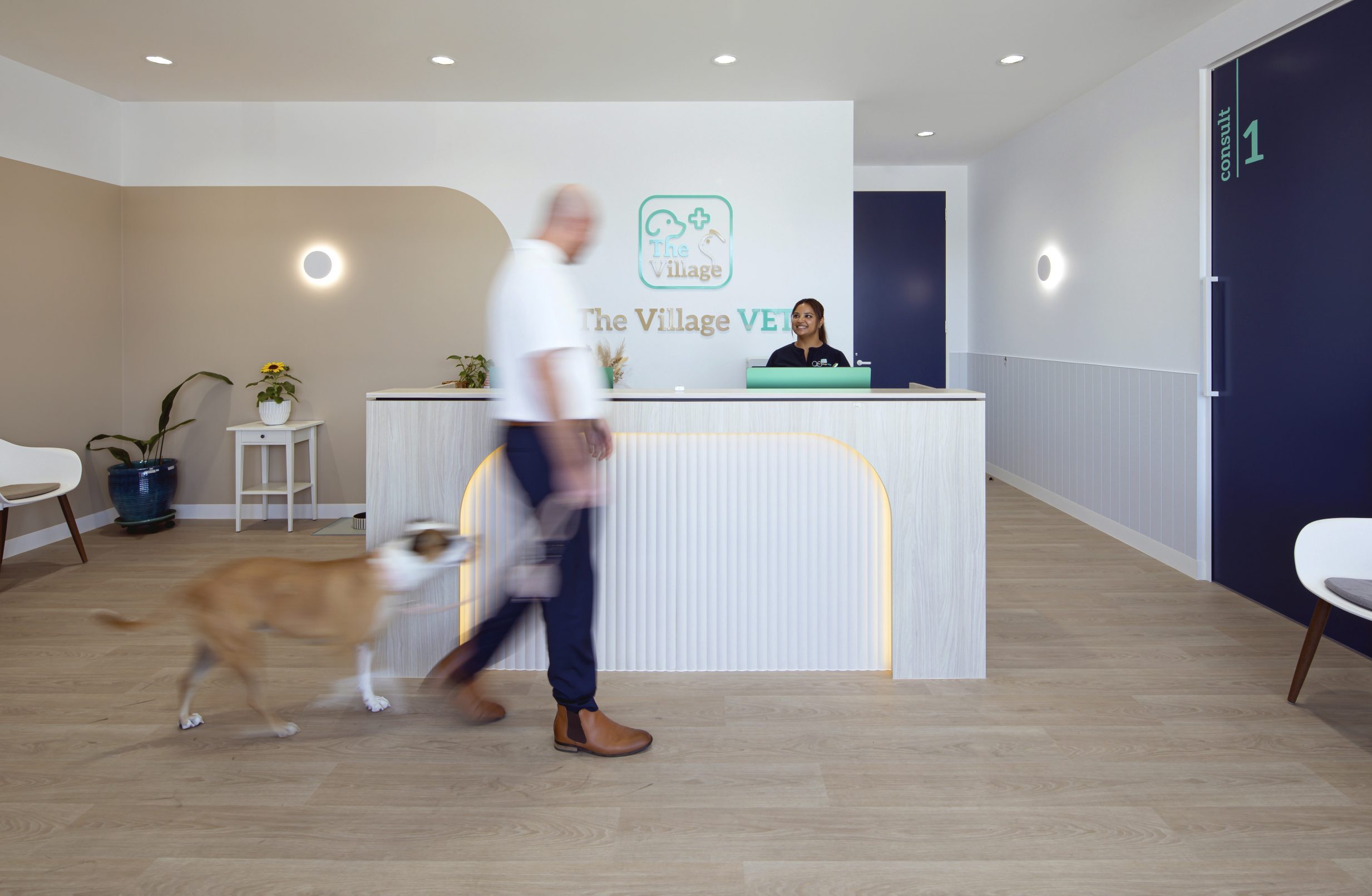 The Village Vet Hospital