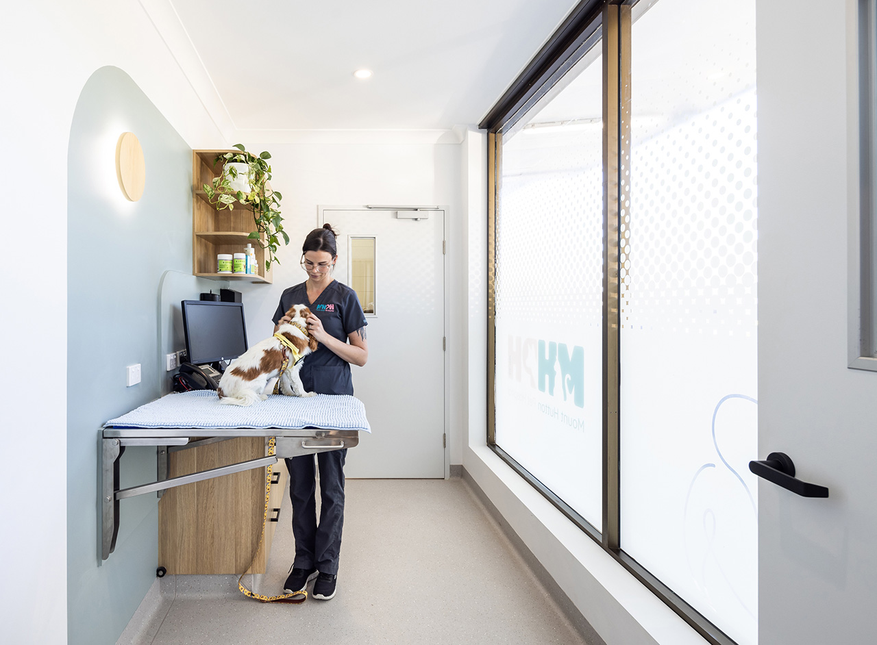 Why Well – Places™ Matter: creating veterinary environments where people and animals thrive