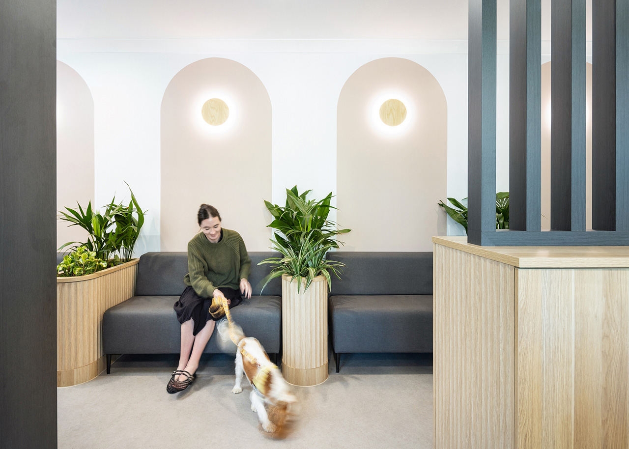 Mount Hutton Pet Hospital